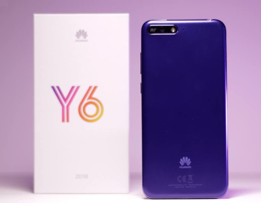 Y6�2018